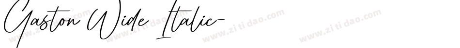 Gaston Wide Italic字体转换